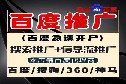 解析SEM托管公司经典案例：如何制定有效的广告策略